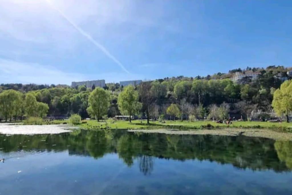 Appartement Dans Peniche Atypique Et Idyllique A Confluence ลียง ภายนอก รูปภาพ