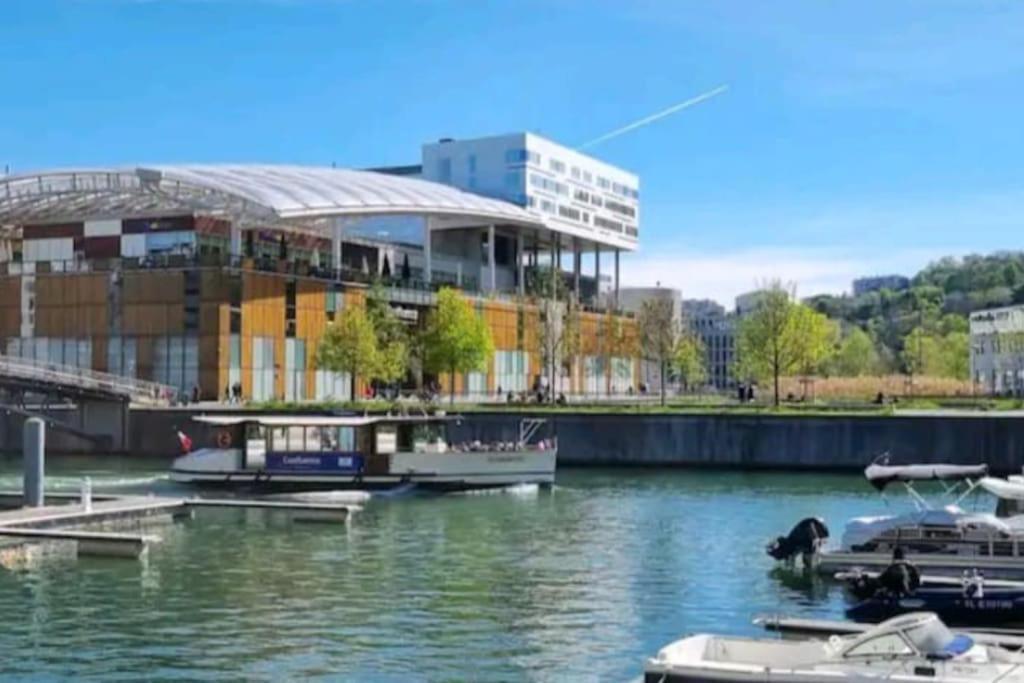 Appartement Dans Peniche Atypique Et Idyllique A Confluence ลียง ภายนอก รูปภาพ